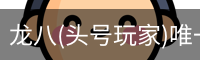 龙八(头号玩家)唯一官方网站